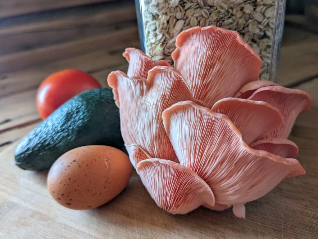 rožinės kreivabūdės grybai, avižinės kruopos, kiaušinis.