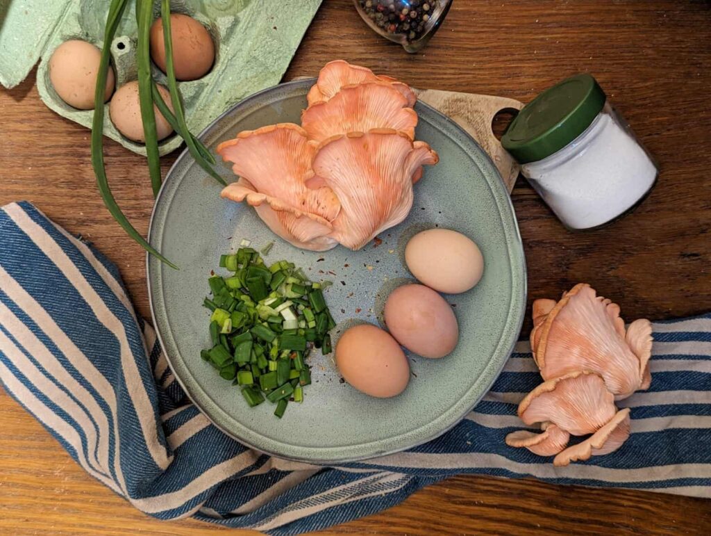 rožinė kreivabūdė, kiaušinis, plaktos kiaušinienės ingredientai 