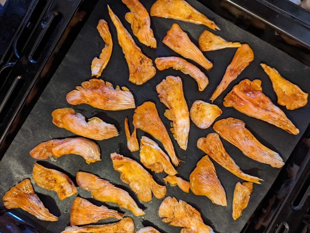 veganiška, vegetariška šoninė, rožinės kreivabudės grybai