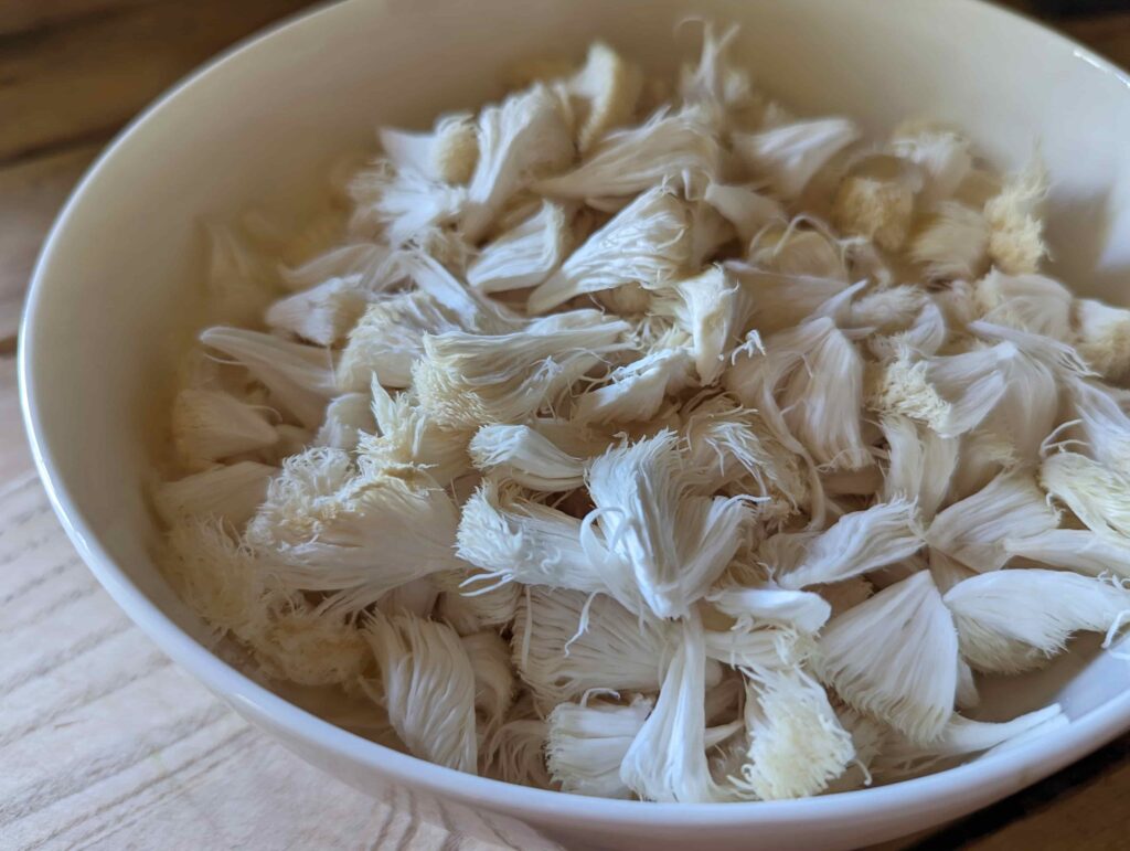 Plėšyti švieži Liūto karčiai (Lion's mane) grybai. 